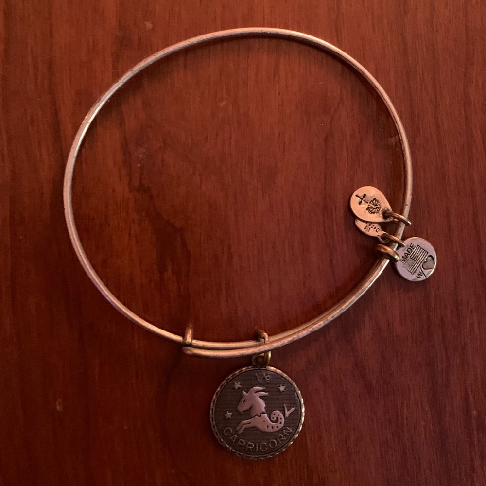 Capricorn Alex and Ani